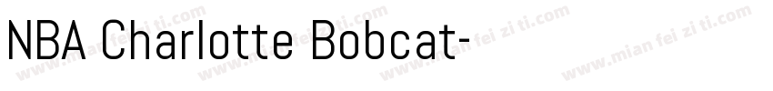 NBA Charlotte Bobcat字体转换